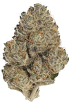 Platinum Kush | Feminized | Cannabis Seeds