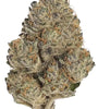 Platinum Kush | Feminized | Cannabis Seeds