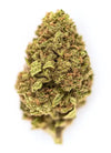 Gelonade | Feminized | Cannabis Seeds