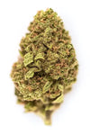 Gelonade | Feminized | Cannabis Seeds