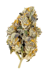 Lemon Cherry Gelato | Feminized | Cannabis Seeds