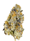 Oreoz | Feminized | Cannabis Seeds