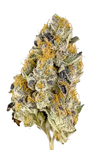 Oreoz | Feminized | Cannabis Seeds