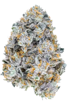 Permanent Marker | Feminized | Cannabis Seeds