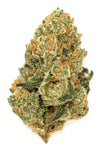 Donny Burger | Feminized | Cannabis Seeds