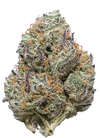 Candyland | Feminized | Cannabis Seeds