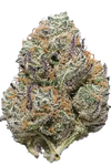 Candyland | Feminized | Cannabis Seeds