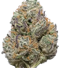 Candyland | Feminized | Cannabis Seeds
