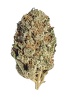 Lilac Diesel | Feminized | Cannabis Seeds