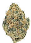Critical Mass | Autoflower | Cannabis Seeds