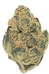 Critical Mass | Autoflower | Cannabis Seeds