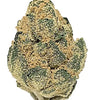 Critical Mass | Autoflower | Cannabis Seeds