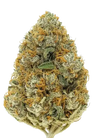 Grapefruit | Feminized | Cannabis Seeds