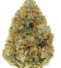 Grapefruit | Feminized | Cannabis Seeds