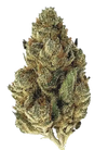 Cookies and Cream | Feminized | Cannabis Seeds