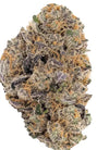 Pink Rozay | Feminized | Cannabis Seeds