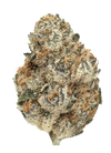 Cherry Punch | Feminized | Cannabis Seeds