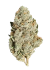 Kosher Kush | Autoflower | Cannabis Seeds