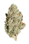 Kosher Kush | Autoflower | Cannabis Seeds
