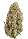 Larry OG | Feminized | Cannabis Seeds