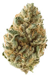Tangie | Feminized  | Cannabis Seeds