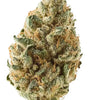 Tangie | Feminized  | Cannabis Seeds
