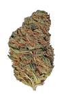 Maui Wowie | Feminized | Cannabis Seeds