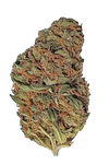Maui Wowie | Autoflower | Cannabis Seeds