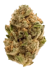 Purple Haze | Feminized | Cannabis Seeds