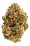 Purple Haze | Feminized | Cannabis Seeds