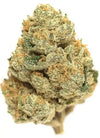 Master Kush | Autoflower | Cannabis Seeds