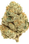 Master Kush | Autoflower | Cannabis Seeds