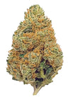 Fruit Punch | Feminized | Cannabis Seeds