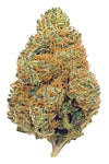 Fruit Punch | Feminized | Cannabis Seeds