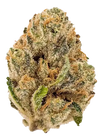Snowman | Feminized  | Cannabis Seeds