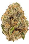 Snowman | Feminized  | Cannabis Seeds