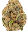 Snowman | Feminized  | Cannabis Seeds