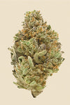 CBD | Critical Mass | Autoflower | Seeds
