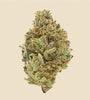 CBD | Critical Mass | Autoflower | Seeds