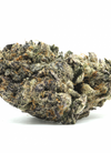 Frosted Gelato | Feminized | Cannabis Seeds