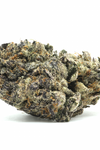 Frosted Gelato | Feminized | Cannabis Seeds