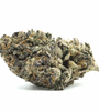 Frosted Gelato | Feminized | Cannabis Seeds