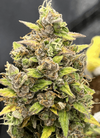 Autoflower Super 15 Seeds Mix Pack | Cannabis Seeds