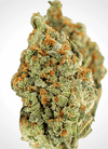 GG4 x Zkittlez | Feminized | Cannabis Seeds