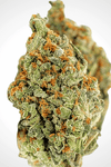 GG4 x Zkittlez | Feminized | Cannabis Seeds