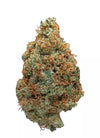 Hawaiian Punch | Feminized  | Cannabis Seeds