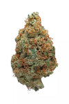 Hawaiian Punch | Feminized  | Cannabis Seeds