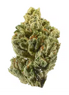 Spicy Mix Pack Cannabis Seeds | Feminized & Autoflower Varieties