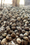 Organic Rabbit Manure | Natural Fertilizer for Cannabis