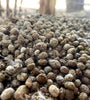 Organic Rabbit Manure | Natural Fertilizer for Cannabis